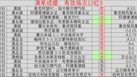 欧足联邀各联赛探讨VAR应用，关注侵扰性小方法